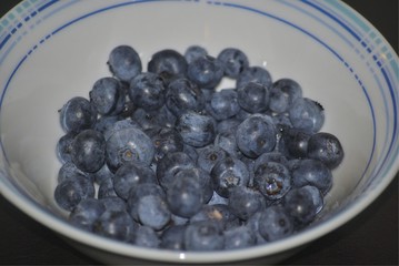 Macro photo of fresh blueberries in the white bowl.