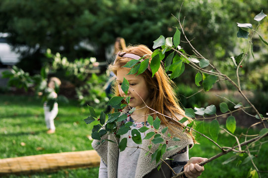 Sukkot: Girl Carries Branch To Use As Sukkah Covering