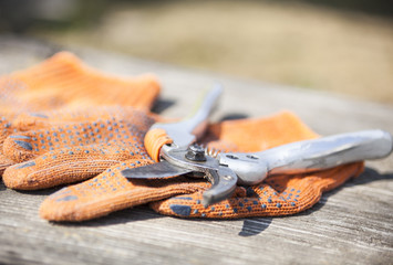 Pruning shears and protective gloves