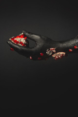 Pomegranate Hand