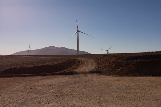 Wind mill at a wind farm