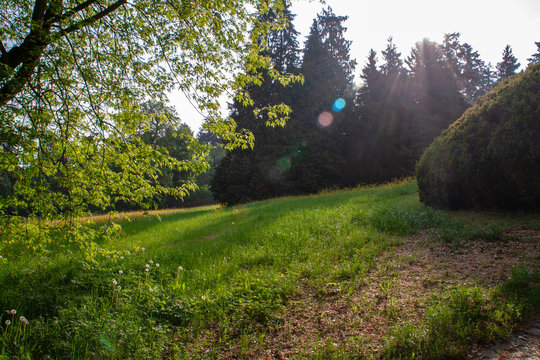 Schlo&szlig;park Rauischholzhausen