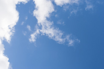 Obraz premium White cloud hovering through the blue sky