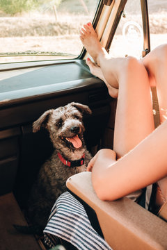 Adorable dog and woman sitting in a van