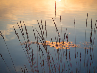 Evening peaceful nature with the reflection of the sun in the water. Natural background.