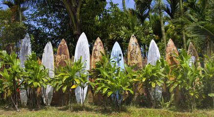 Surfboard wall in Haiku on Maui.