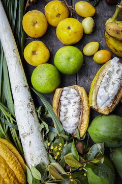 Tropical treasure / Ecuador