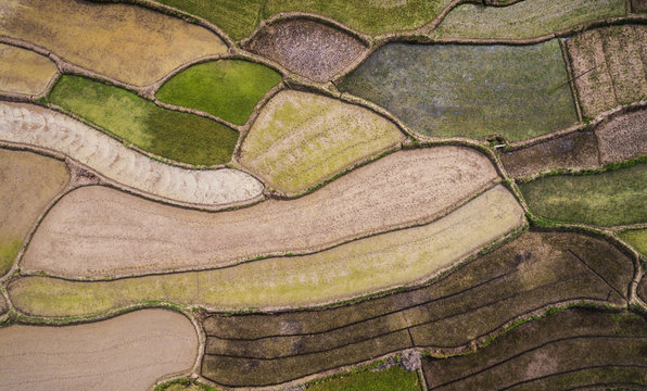 Aerial Photography Bird-eye View Of Farm Farmland Nature Landsca