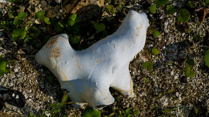 Obraz premium Silicon stones on the ground