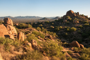 The sun warms boulders of Pinnacle Peak at dawn in the Mountains of Scottsdale, Arizona.