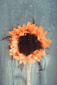 End of summer.