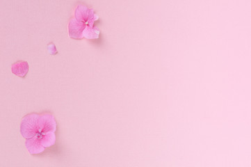 Fototapeta na wymiar flowers on pink background