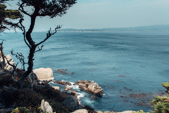 Monterey Bay in California