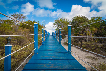 Blue Deck Leading To Caribbean Heaven