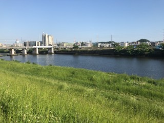 土手の美しい風景