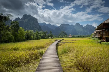 Fotobehang Vangvieng Laos, landscape and rice field © souayang