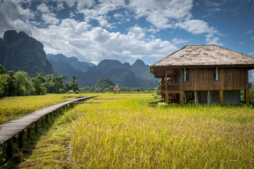 Vangvieng Laos, landscape and rice field