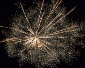 Fourth of July, 2018 fireworks.