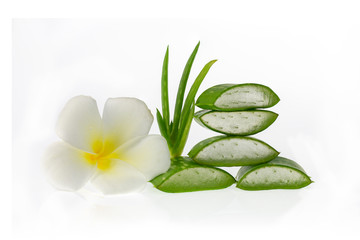 Fototapeta na wymiar Aloe vera and flower on a white background.