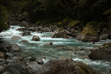 River in Milford sound