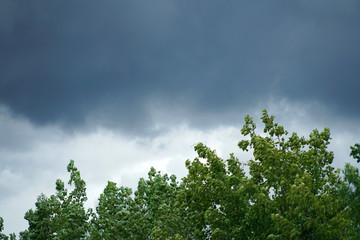 tree and dark storm cloud before thunderstorm