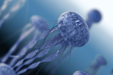 The jellyfish in blue ocean background