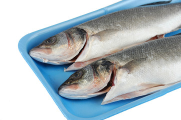 raw sea bass in the container for sale