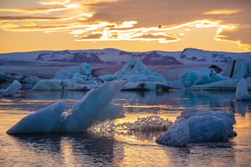 Icebergs in Jokulsarlon glacier lagoon. Vatnajokull National Park, Iceland Summer.Midnight Sun.