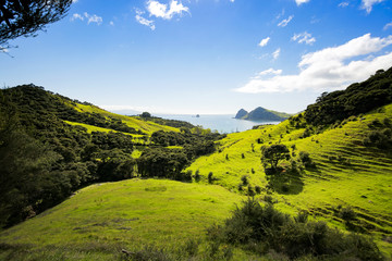 Fototapeta na wymiar Landscape in New Zealand