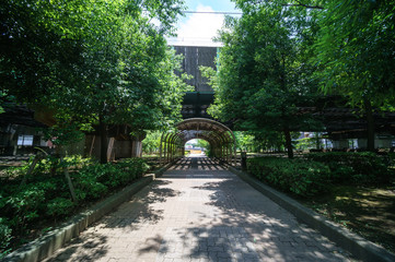 大横川親水公園