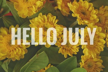Text Hello July on yellow flowers background. © jajam_e