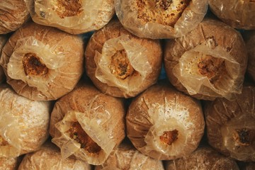 Mushroom Indian Oyster or Phoenix Mushroom in farm.