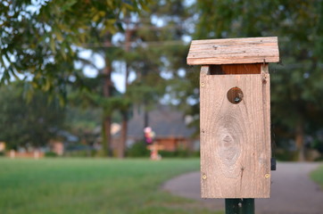 birdhouse in a park