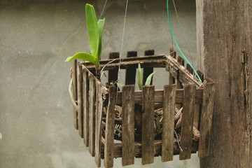 Old Wooden Hanging Pots.