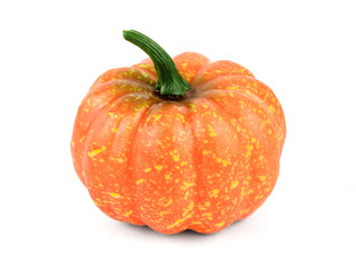 Little beautiful decorative pumpkin isolated on white background.