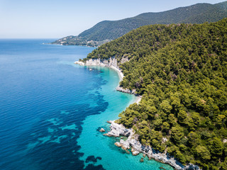 Coastline view from above Kastani beach on the island of Skopelos in Greece looking out over the aqua water and coral for snorkelling and diving.