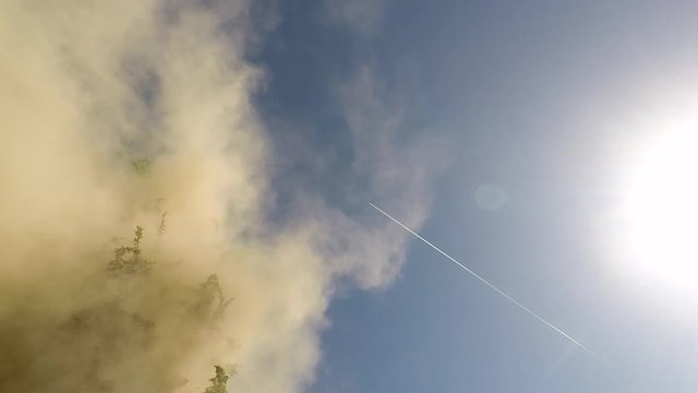 Juniper pollen spread on a sunny day and an airplane in the sky. Slow motion