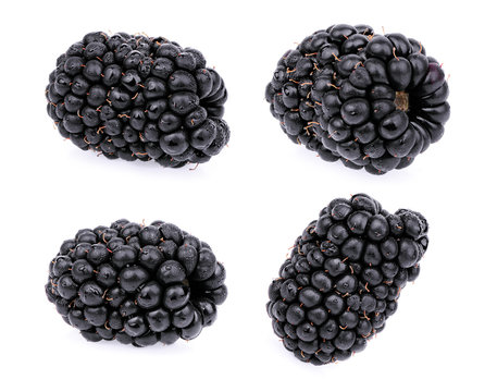 fresh blackberry isolated on white background