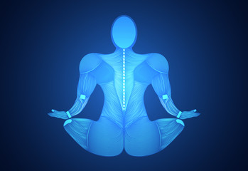 Obraz premium abstract technology science concept human body line blue health digital : medicine,meditation,Healing,Chakra,Zen vitality innovation energy circulates in the body on hi tech future design background