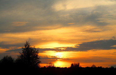 Photo of a summer rural landscape with sunset