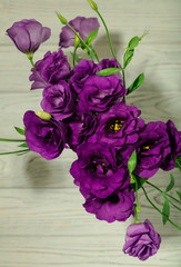 Violet flowers - eustoma, on a white wooden background.