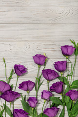 Fototapeta na wymiar Violet flowers - eustoma, on a white wooden background.