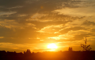 Fototapeta na wymiar Photo of a summer rural landscape with sunset