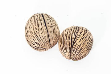 Closeup of Dry Cerbera oddloam's seed on white background