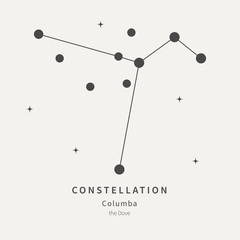 The Constellation Of Columba. The Dove - linear icon. Vector illustration of the concept of astronomy.