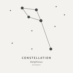 The Constellation Of Delphinus. The Dolphin - linear icon. Vector illustration of the concept of astronomy.