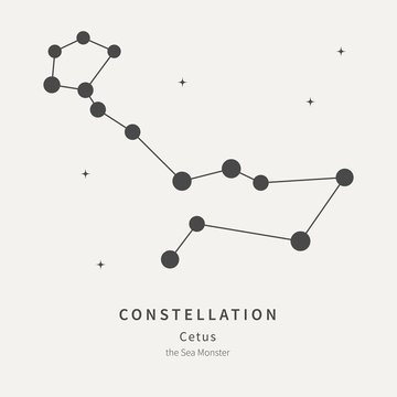 The Constellation Of Cetus. The Sea Monster - linear icon. Vector illustration of the concept of astronomy.