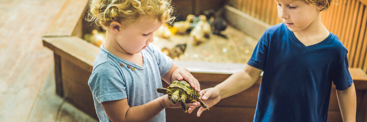 toddlers boy and girl caresses and playing with turtle in the petting zoo. concept of sustainability, love of nature, respect for the world and love for animals. BANNER, long format