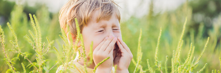 Boy sneezes because of an allergy to ragweed BANNER, long format