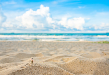 mini photographer doll and sea.